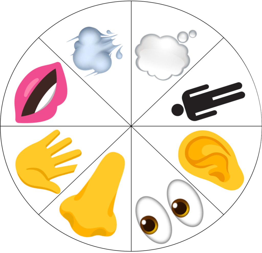 La ruota della Mindfulness, per tornare al&nbsp;Presente